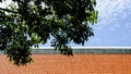 Antique red, green and orange tile roof pattern at the buddha temple. Royalty Free Stock Photo