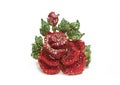 Antique Rhinestone Rose Isolated on White Background Royalty Free Stock Photo