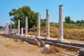 Antique road with columns.