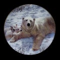 Antique round plate with the image of bears. round picture for decoupage with animals.