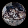 Antique round plate with the image of a lynx. round picture for decoupage with animals.