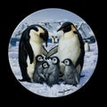 Antique round plate with the image of penguins round picture for decoupage with animals.