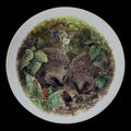 Antique round plate with the image of hedgehogs. round picture for decoupage with animals.