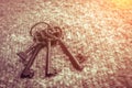 Antique and rusty medieval castle skeleton door keys Royalty Free Stock Photo