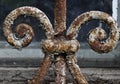 Antique rusty protective decorative patterned lattice with curls on the old window of an old building. Vintage background. Royalty Free Stock Photo