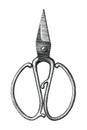 Antique scissors hand draw vintage style black and white clip art isolated on white background,Vintage scissors rare item