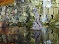 Antique sculpture reflected in the lake Royalty Free Stock Photo