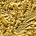 Antique Seamless Background. Golden Paper Wave.