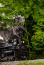 Antique Shay Steam Locomotives Powering Down Track - Cass Railroad - West Virginia