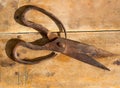 Antique sheep wool shears scissors rusted Royalty Free Stock Photo