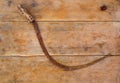 Antique sickle hand tool rusted on aged vintage wood Royalty Free Stock Photo