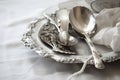 antique silver spoons displayed on white porcelain plate Royalty Free Stock Photo