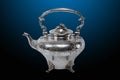 Antique silver teapot Royalty Free Stock Photo