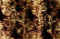 Antique snakeskin and brown surface pattern