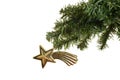 Antique star christmas ornament on branch