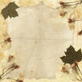 Antique Stationary/Background Royalty Free Stock Photo