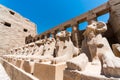 Antique statues of many sheep in the karnak temple in luxur