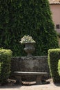 Antique stone vase with flowers in a garden Royalty Free Stock Photo