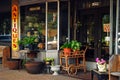 An antique store also sells potted plants