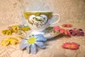 Antique teacup with bird Royalty Free Stock Photo
