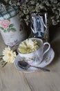 Antique Teacup with Flowers and Old Photograph