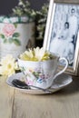 Antique Teacup With Old Framed Photograph and Yellow Daisies