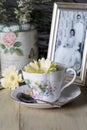 Antique Teacup and Yellow Daisy Flower and Old Photograph