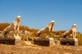 Antique three stone guardian lions sculptures on DELOS Island, Greece