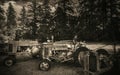 Antique Tractors in a Field Royalty Free Stock Photo