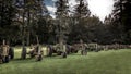 Antique Tractors in a Field Royalty Free Stock Photo