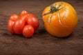 Antique-type tomatoes placed on wooden kitchen table