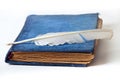 Antique velvet book Royalty Free Stock Photo