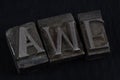 Antique vintage movable type alphabet set