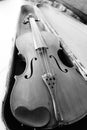 Antique violin in black and whit in the case. Royalty Free Stock Photo