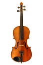 Antique violin isolated