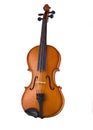 Antique violin isolated Royalty Free Stock Photo