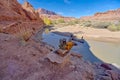 Antique Water pump next to the Paria River at Lonely Dell Ranch Royalty Free Stock Photo