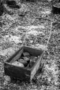 Antique Wheelbarrow and Bricks