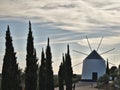 Antique windmill and trees