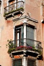 Antique windows in Venice