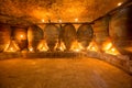 Antique winery in Spain with clay amphora pots Royalty Free Stock Photo