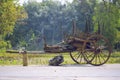 Antique wood cart in garden Royalty Free Stock Photo