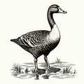 Antique Woodcut Engraving Of Goose: Dark Academia Vintage Halloween Clipart