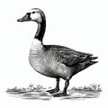 Antique Woodcut Engraving Of Goose: Dark Academia Vintage Halloween Clipart