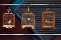 Antique wooden bird cages