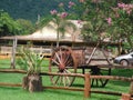 An antique wooden decorative cart in a garden.