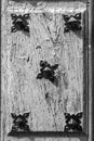Antique wooden door detail Royalty Free Stock Photo