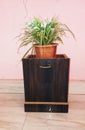 Antique wooden indoor plant pot stand Royalty Free Stock Photo