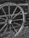 Antique wooden wagon wheel against wooden barn. Royalty Free Stock Photo