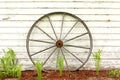 Antique Wooden Wagon Wheel on Rustic White Background Royalty Free Stock Photo